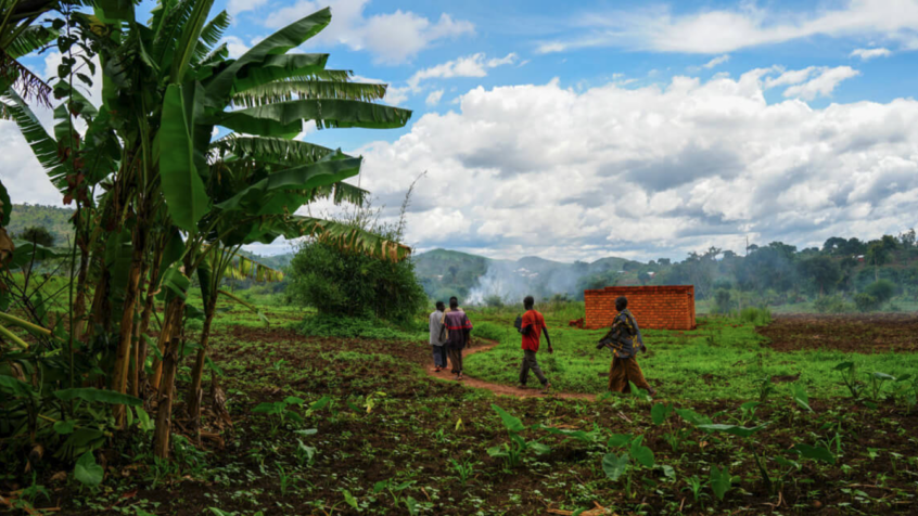 La détresse des réfugiés congolais au Burundi