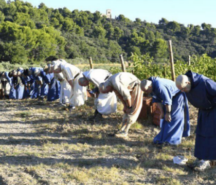 A l&rsquo;abbaye du Barroux, des moines et des vignerons unis autour du projet « Via Caritatis »