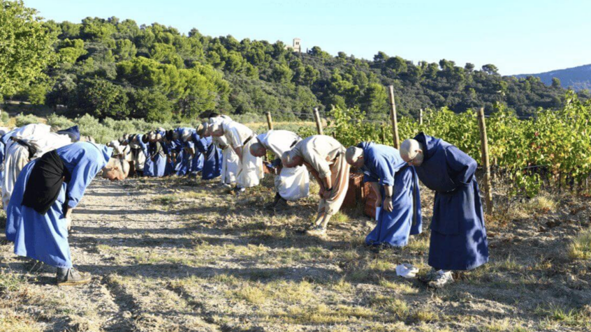 A l&rsquo;abbaye du Barroux, des moines et des vignerons unis autour du projet « Via Caritatis »
