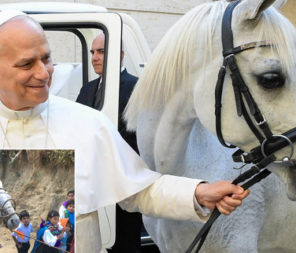 Un cheval offert au pape Léon XIV : derrière le cadeau, une belle histoire