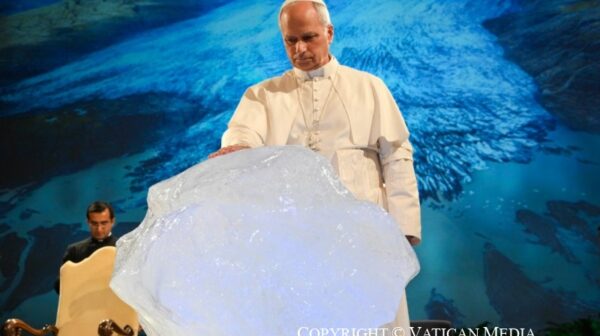 « Nous devons passer du discours environnemental à une conversion écologique »: le discours-choc de Léon XIV pour les 10 ans de Laudato si&rsquo;