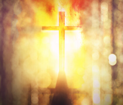 Face à la violence et à la guerre : la toute-faiblesse de Dieu