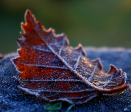 « Nous ne sommes pas des chasseurs de primes » : une victime explique pourquoi elle demande la révocation de Mgr Terlinden