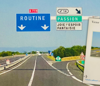Le choix des libraires : Le Voyage, ou la théorie de la grande diversion