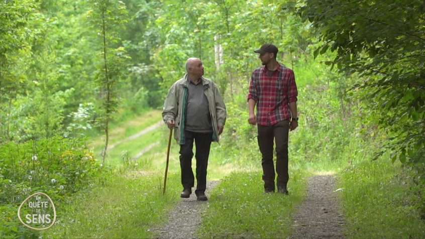 Film documentaire : Semer la forêt de demain