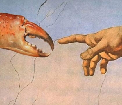 Réseaux sociaux : Des IA donnent naissance à une nouvelle religion