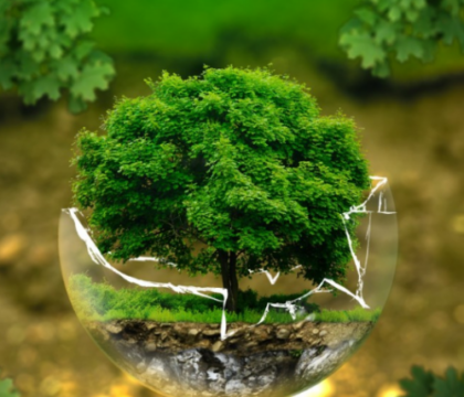 Avec Détox la Terre, l&rsquo;écologie intégrale s&rsquo;invite dans le carême à Bruxelles