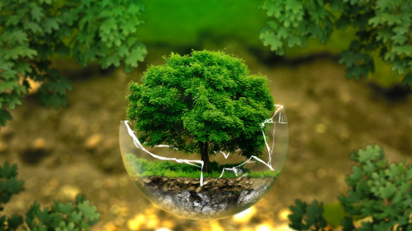 Avec Détox la Terre, l&rsquo;écologie intégrale s&rsquo;invite dans le carême à Bruxelles