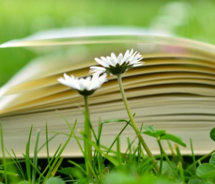 Session : « Initiation à la spiritualité ignatienne »