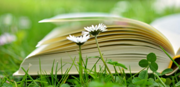 Session : « Initiation à la spiritualité ignatienne »