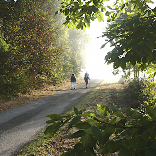 Session : « Marcher et prier »