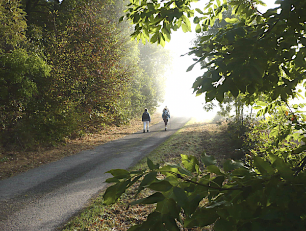 Session : « Marcher et prier »