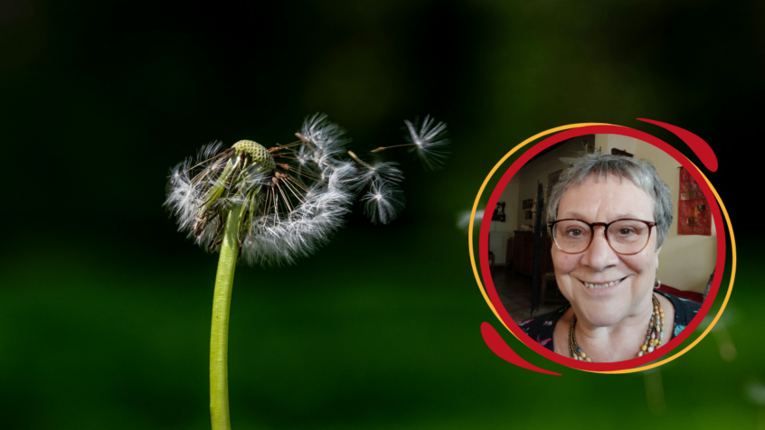 Chronique : Semer à tous vents