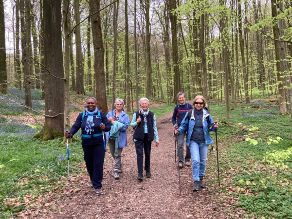 Marcher-Prier en forêt de Soignes: « Rando des jacinthes »