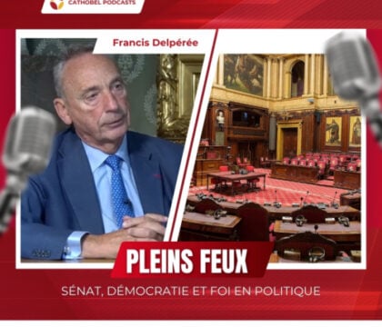 Suppression du Sénat : le regard de Francis Delpérée