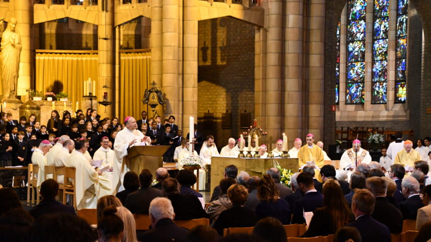 La Belgique célèbre la première année de pontificat de Léon XIV