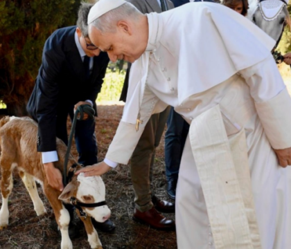 Saviez-vous que le Pape possède une ferme ?