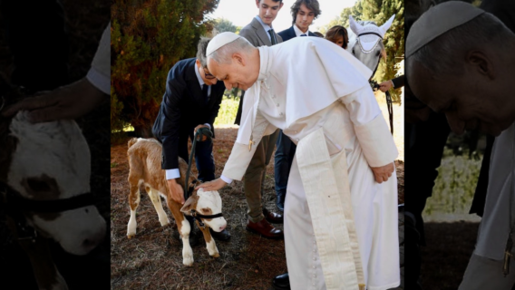 Saviez-vous que le Pape possède une ferme ?